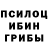 Псилоцибиновые грибы GOLDEN TEACHER ZloyVasya