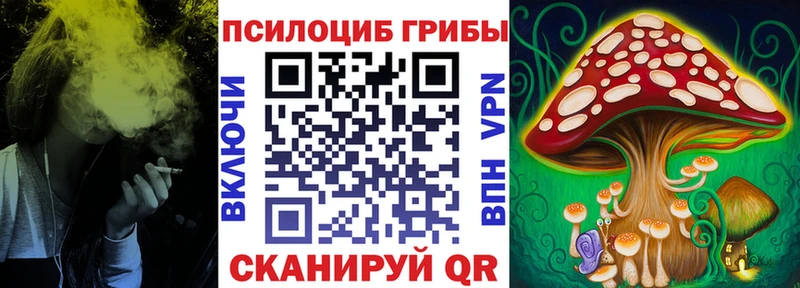 Купить где  Новокубанск  Псилоцибиновые грибы ЛСД 